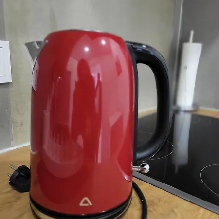 Großzügiges In Der Festspielstadt Apartment *